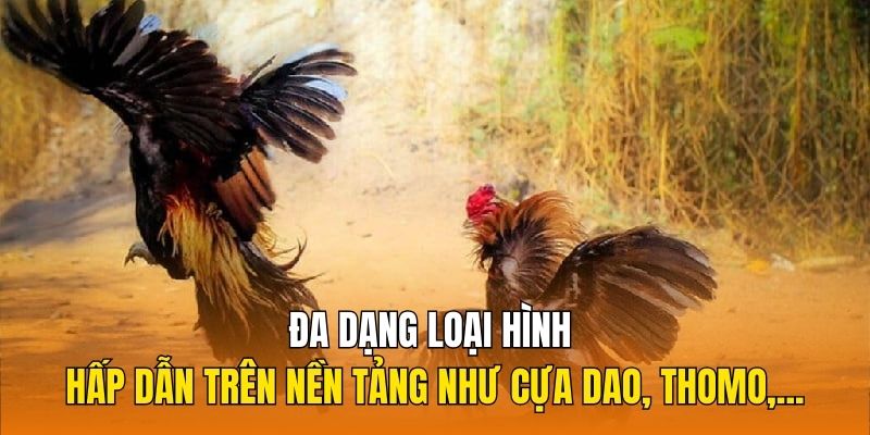 Đa dạng loại hình hấp dẫn trên nền tảng như cựa dao, Thomo,...