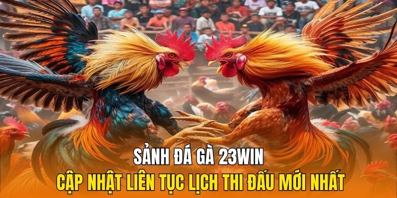 Sảnh đá gà 23Win cập nhật liên tục lịch thi đấu mới nhất