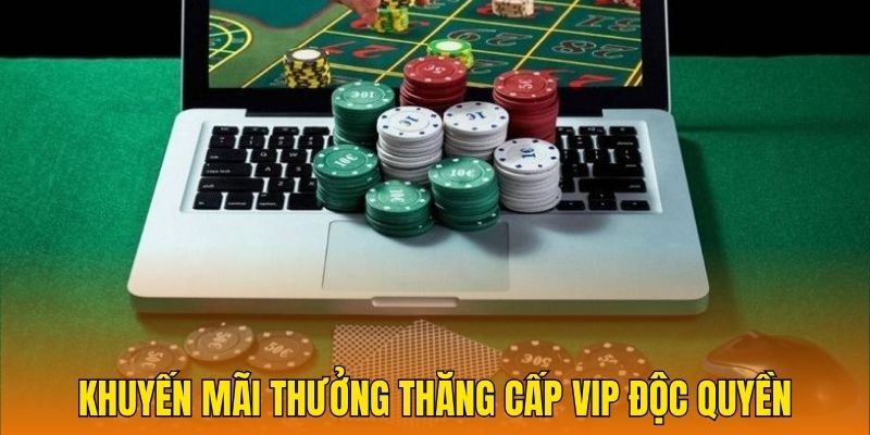 Khuyến mãi thưởng thăng cấp VIP độc quyền